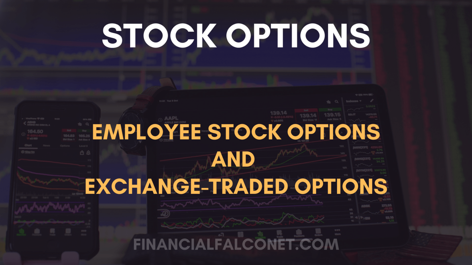 What Companies Offer Stock Options