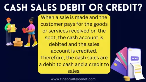 meaning of cash and credit sales