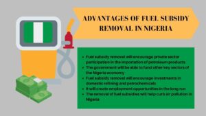 Advantages Of Fuel Subsidy Removal In Nigeria - Financial Falconet