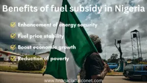 Benefits Of Fuel Subsidy In Nigeria - Financial Falconet