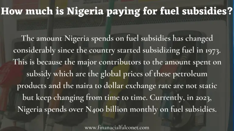 How Much Is Nigeria Paying For Fuel Subsidy? - Financial Falconet